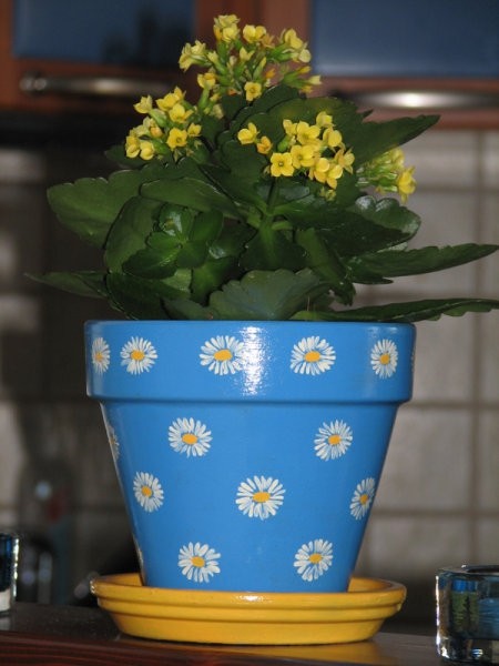 Moje delo - foto