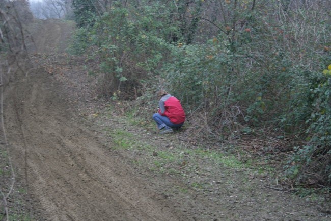 Cross - foto povečava