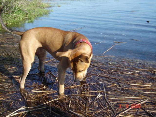 Poletje 2006 - foto