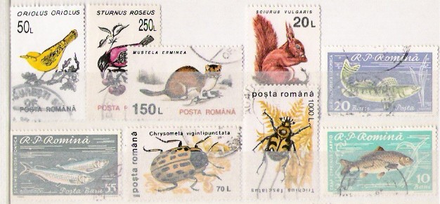 Živali-Romunija