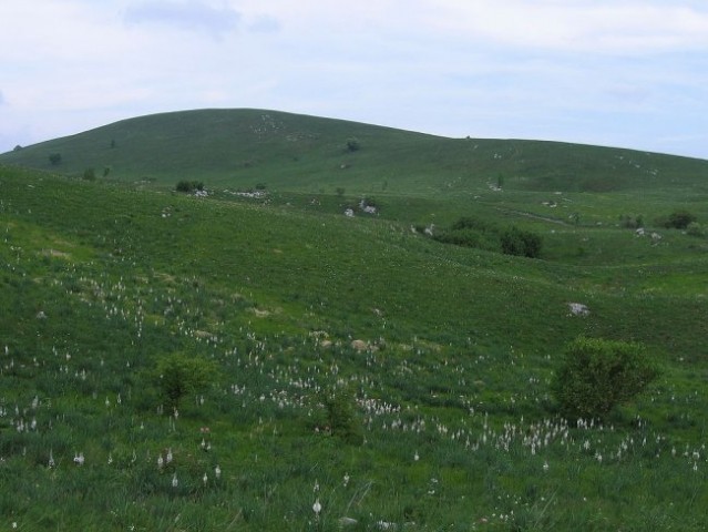 Majbrma, Lipnik, Golič - foto