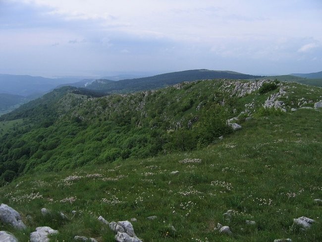 Majbrma, Lipnik, Golič - foto povečava