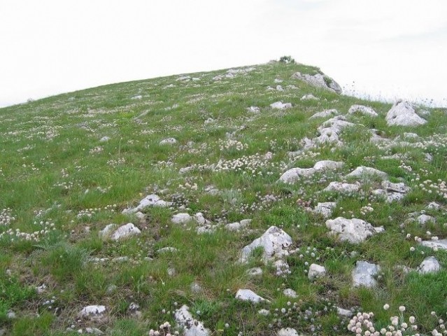 Majbrma, Lipnik, Golič - foto