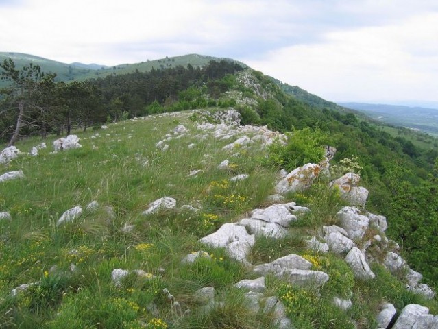 Majbrma, Lipnik, Golič - foto