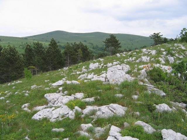 Majbrma, Lipnik, Golič - foto