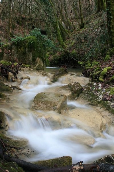 Po drevesu se struga razširi, slap pa je vse bližje