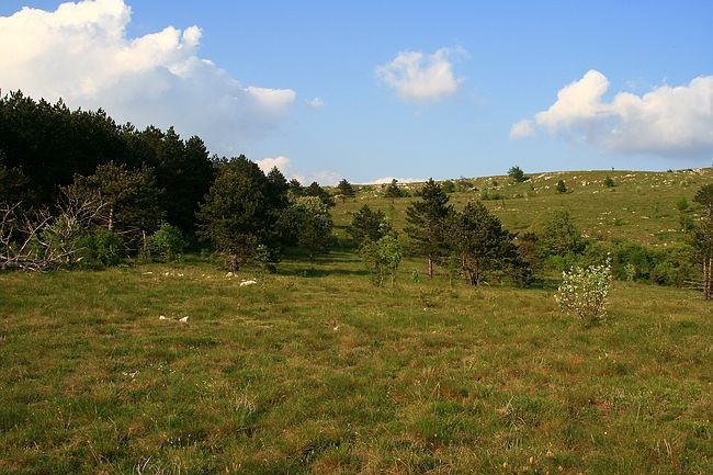 Majbrma, 1.5.2007 - foto povečava