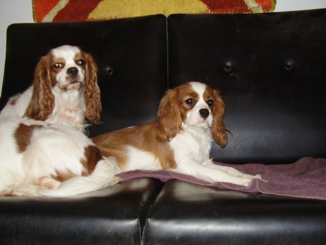 Tilley in Lily