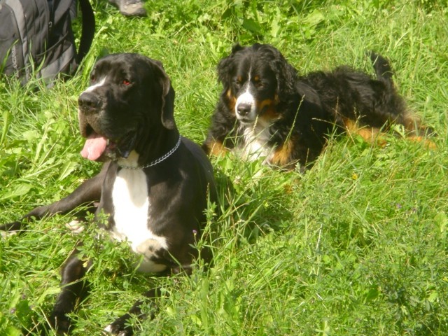 Lenny in njen soimenjak v Bohinju (15.8.2006) - foto