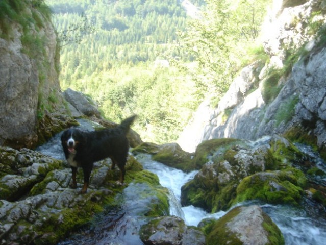 Soča (21.7.2007) - foto