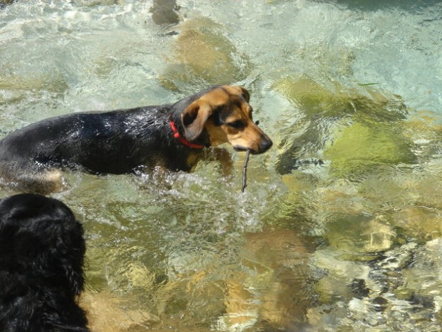 Soča (21.7.2007) - foto