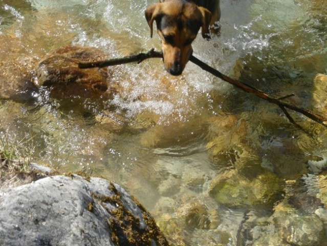 Soča (21.7.2007) - foto