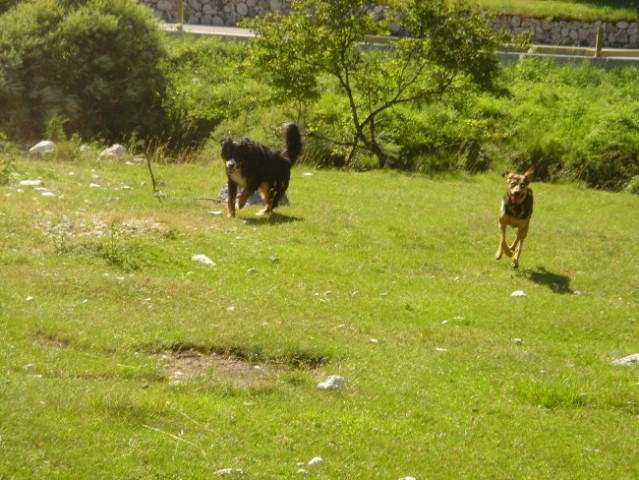 Soča (21.7.2007) - foto