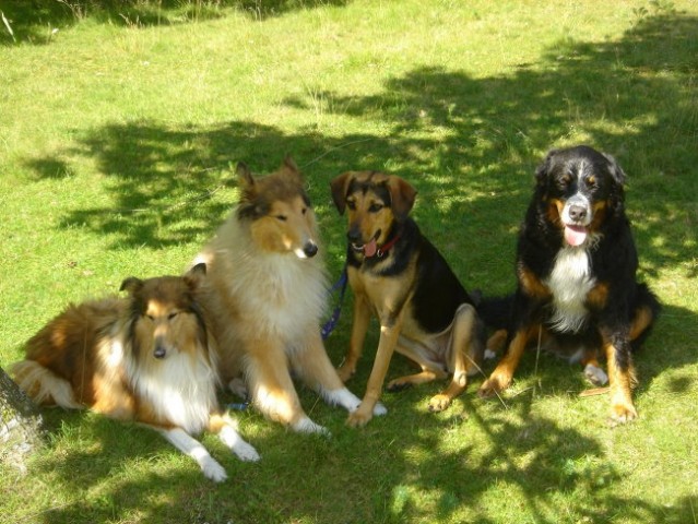 Soča (21.7.2007) - foto