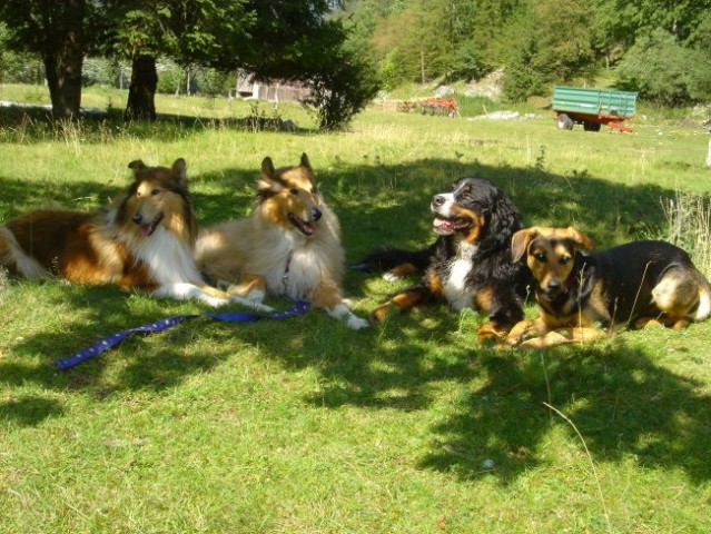 Soča (21.7.2007) - foto