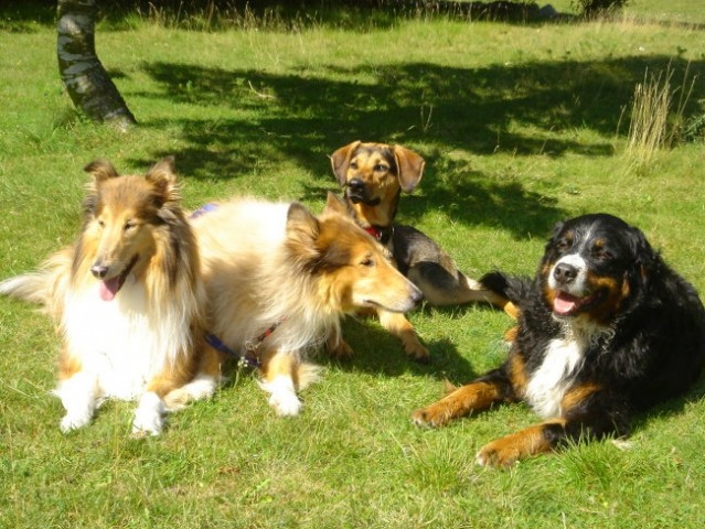 Soča (21.7.2007) - foto