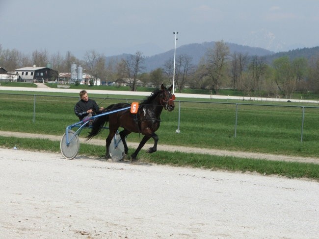 Ljubljana 16.4.2005 kvalifikacije
VICKY OM (5)_Zakrajšek