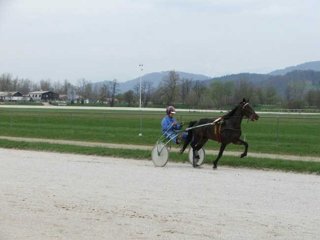 Ljubljana 16.4.2005 kvalifikacije
DERENA (7)_Janez Horvat_