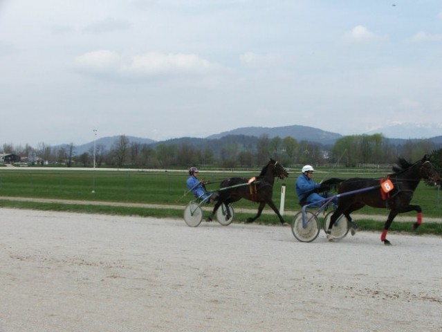 Ljubljana 16.4.2005 kvalifikacije
MISTER FON (8)_Jure Kobler_1.23