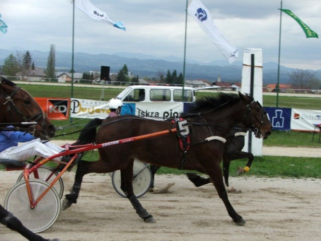 Šentjernej 24.4.2005 Zmagovalec 3. dirke_Petra Retelj_PERIGNON_1.23.2 