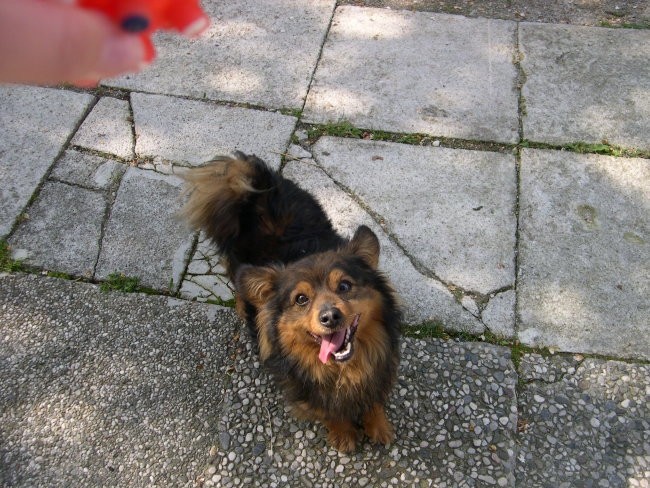 Tobi - foto povečava