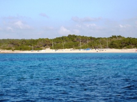 Zaščitena plaža Es Trenc, ki bi se lahko spremenila v El Arenal - betonsko naselje.