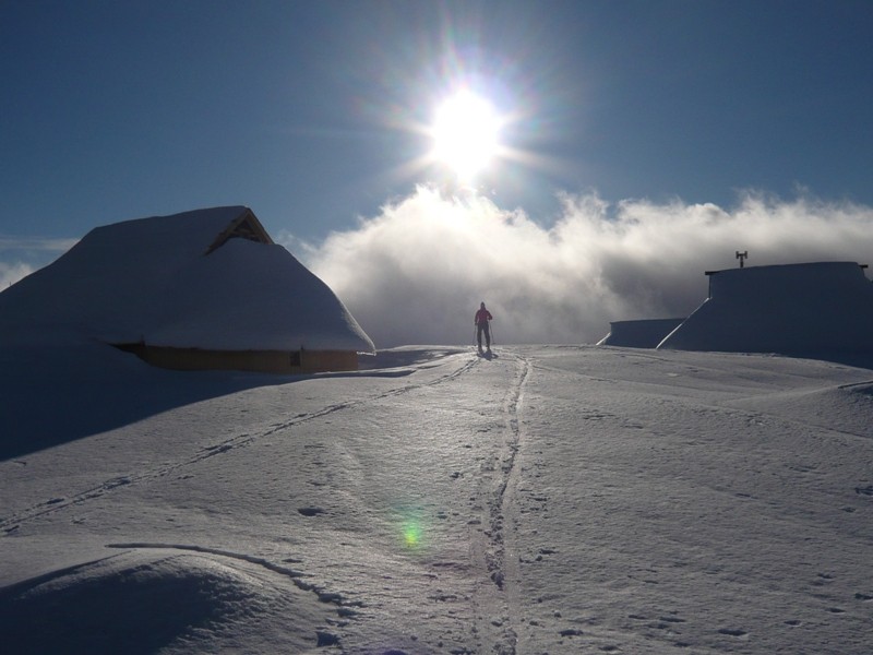 Velika planina 08 - foto povečava