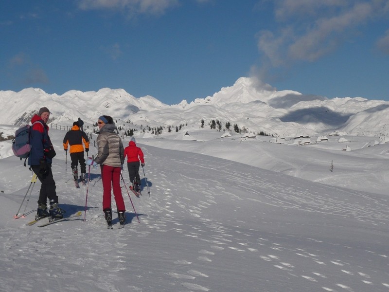 Velika planina 08 - foto povečava