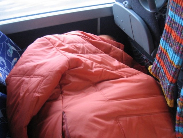 Prfoksa evil carrot spi v svoji oranžni vreči