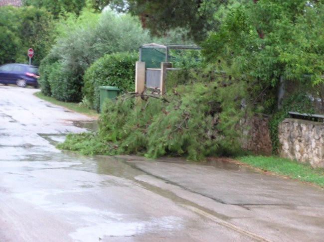 Spošne - foto povečava