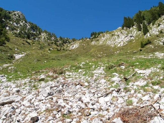 .... se lahko zagrizemo v travne vesine v smeri Lepene....