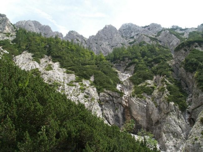 Pri povratku se ozrem nazaj in nenadoma se vprašam, KOLIKO TOLMUNČKOV SEM PA SPLOH VIDEL??