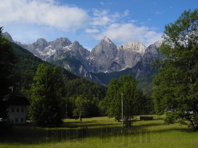 Že z glavne ceste, ki pelje skozi Gozd Martuljek, lahko turisti občudujejo...