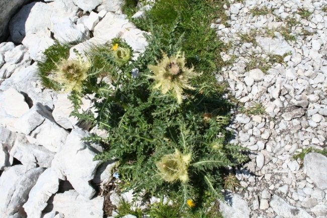 Triglav  - foto povečava