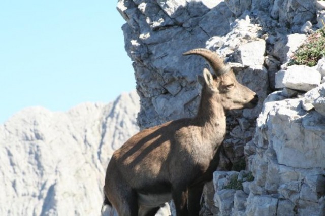 Triglav  - foto