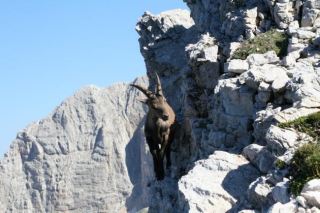 Triglav  - foto