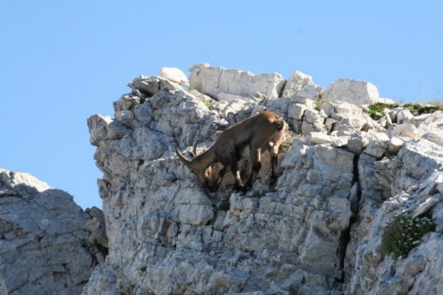 Triglav  - foto