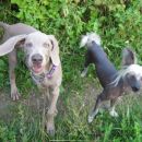 EROS & GANY