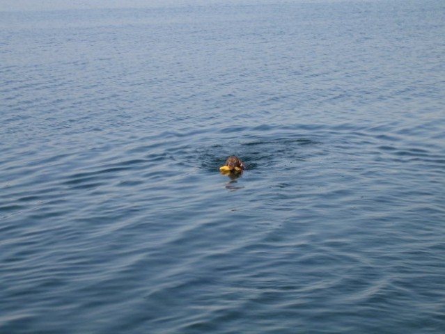 Eros na morju 2007 - foto