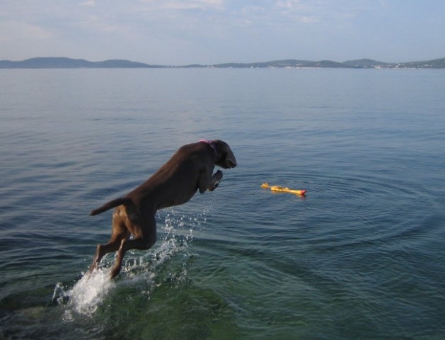 Eros na morju 2007 - foto