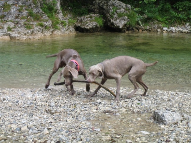 Eros in Kika v Iški - foto povečava