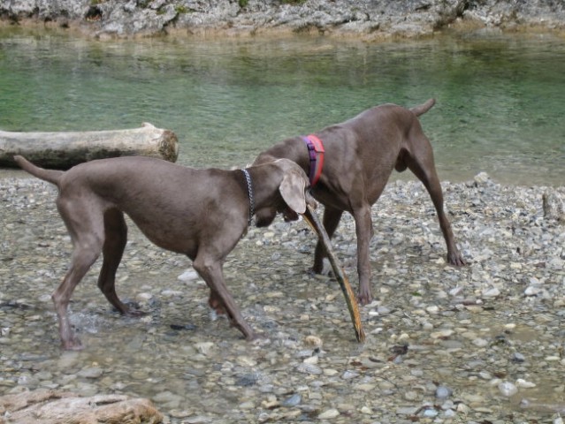 Eros in Kika v Iški - foto