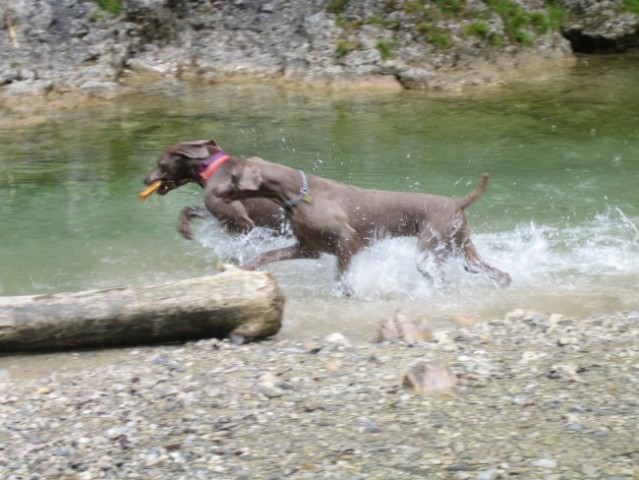 Eros in Kika v Iški - foto