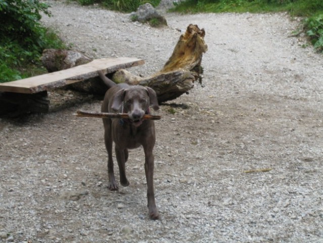 Eros in Kika v Iški - foto