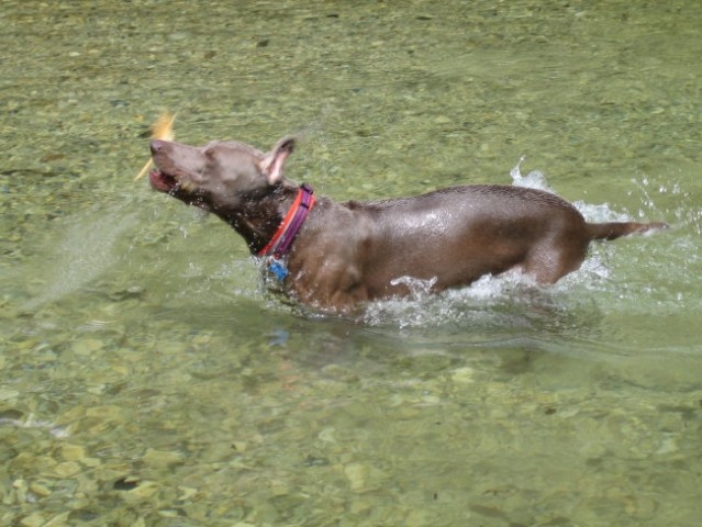 Eros in Kika v Iški - foto