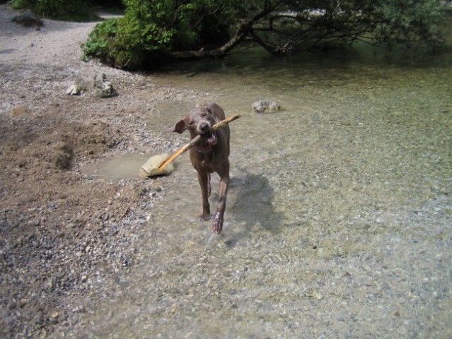 Eros in Kika v Iški - foto