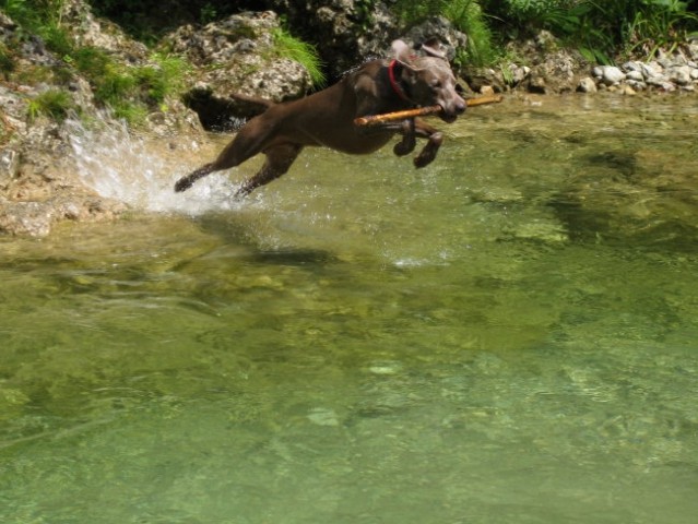 Eros in Kika v Iški - foto