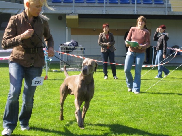 CACIB Lendava 2007 - foto