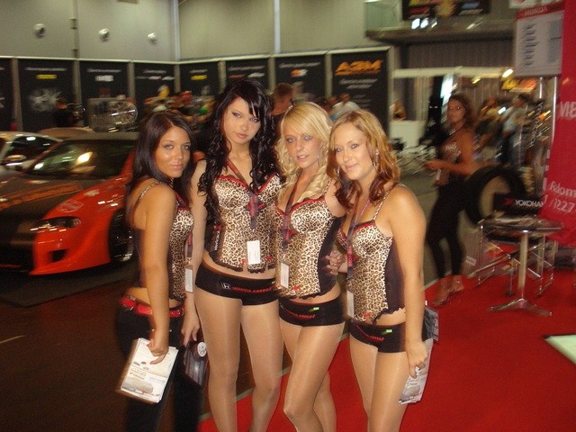 Auto motor show Ljubljana 2008 - foto