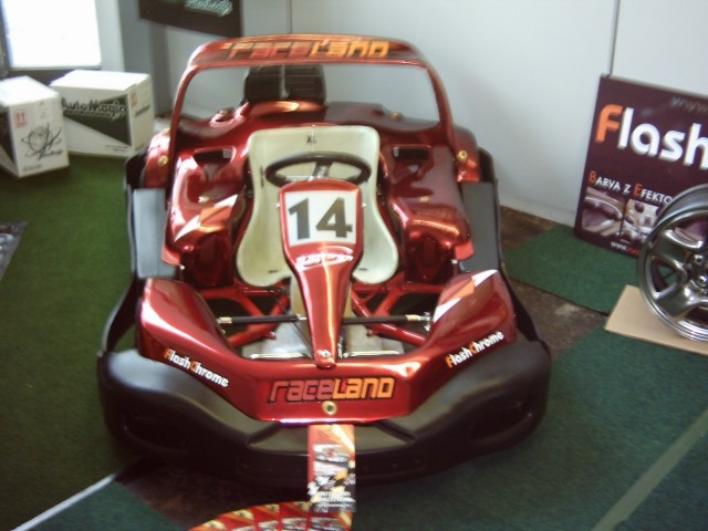 Auto motor show Ljubljana 2008 - foto